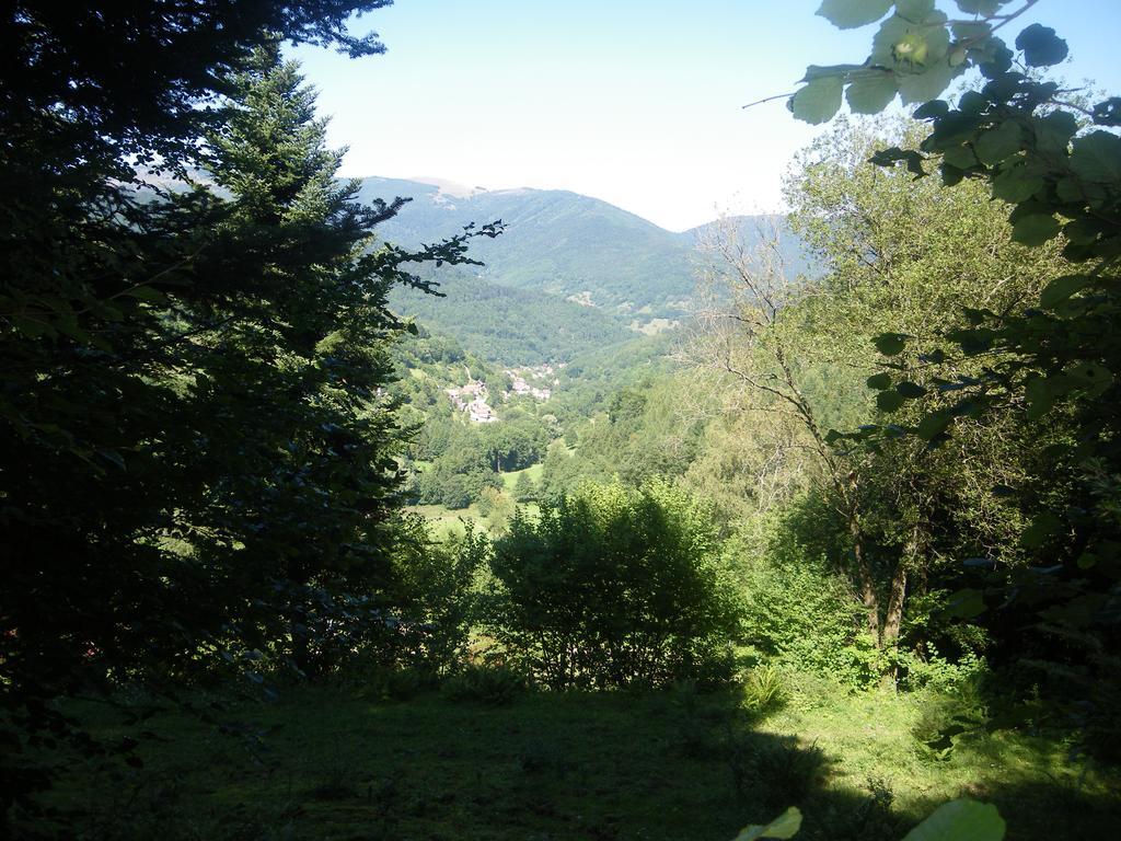 Lautenbachzell Ferme Du Mouton Noir B&B 외부 사진